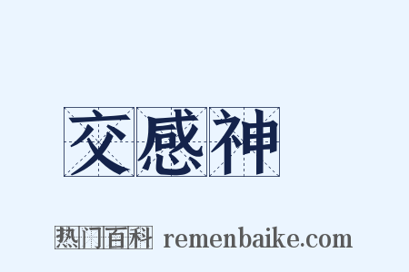 交感神經是什么意思的图片